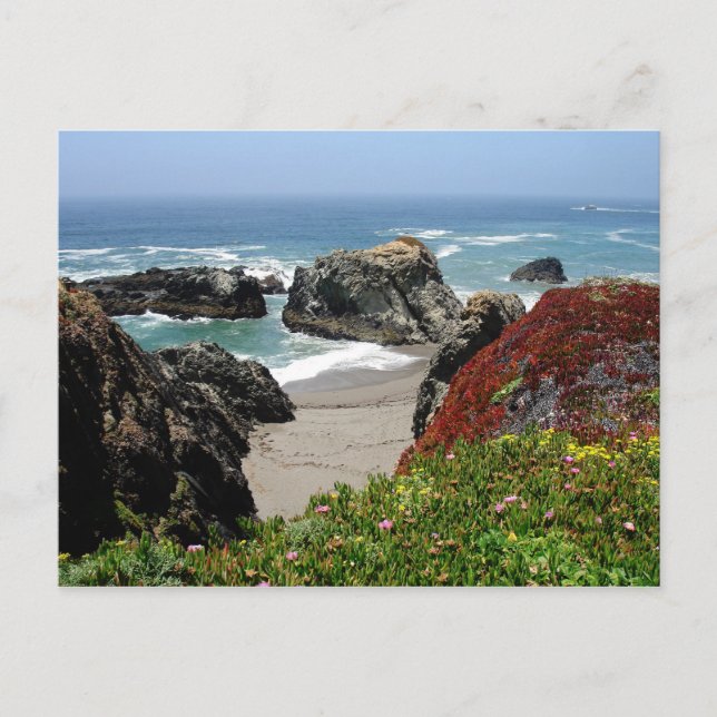 Carte Postale California Dreaming (Devant)