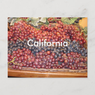 Carte postale California Winery