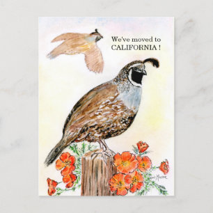Carte Postale Californie
