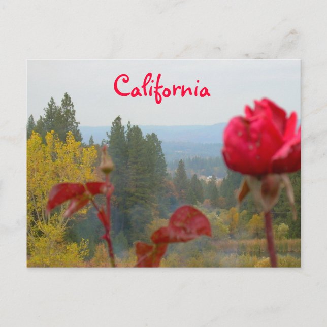 Carte Postale Californie à fleurs (Devant)
