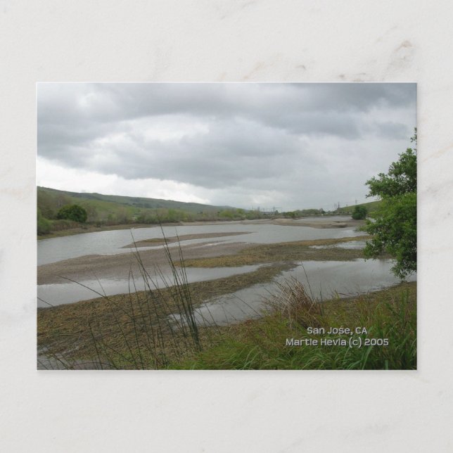 Carte Postale Californie - Coyote Creek (Devant)