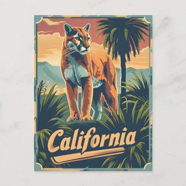 Carte Postale Californie Lion Cougar (Devant)