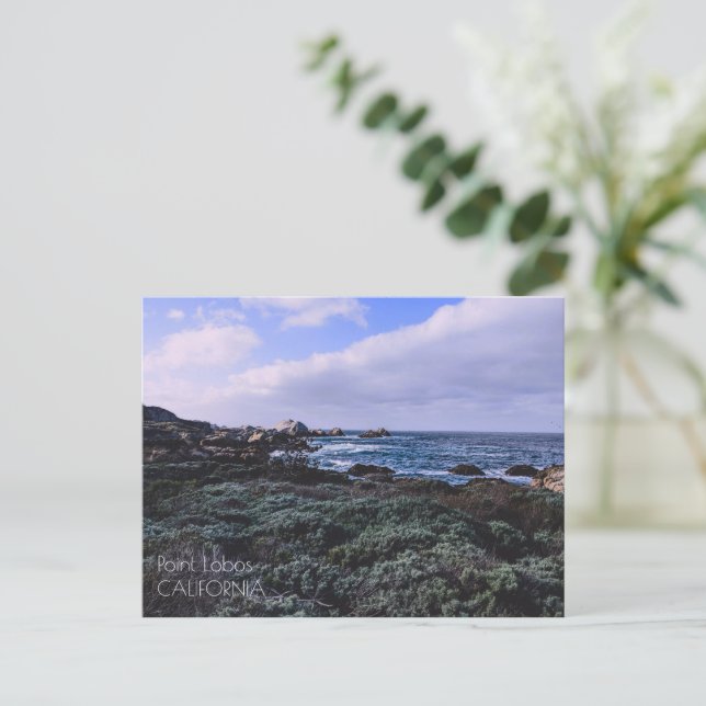 Carte Postale Californie Pacific Coast Point Lobos Monterey (Debout devant)