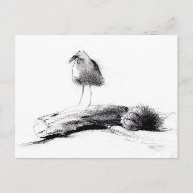 Carte Postale Californie Seagull 2012 (Devant)