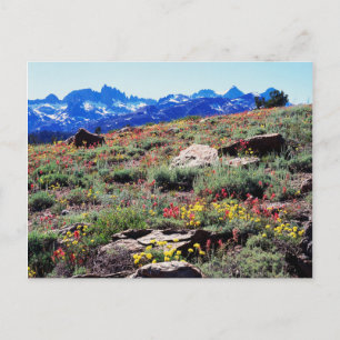 Carte Postale Californie, Sierra Nevada Mountains 1