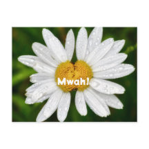 Câlins de joyeux anniversaire à la Saint-Valentin