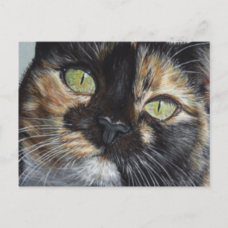 Carte Postale Cali's Stare Tortie Tortoiseshell Cat Peinture Art