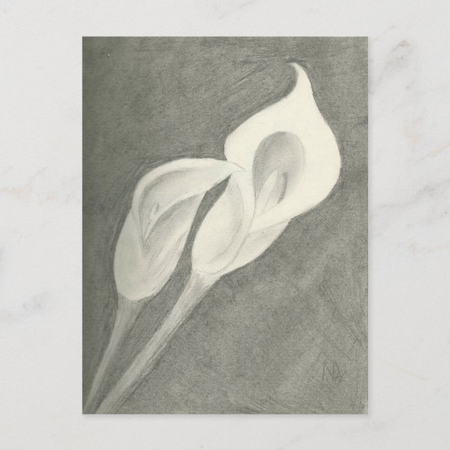 Carte Postale Calla Lilies (Devant)