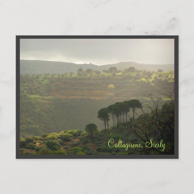 Carte Postale Caltagirone. Sicile (Devant)