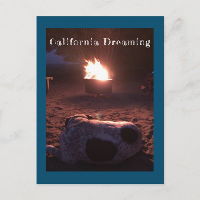 Carte Postale Calvin le chien endormi (Devant)