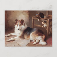 Camarades - Chien Kitten - Chien