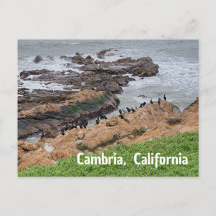 Carte Postale Cambria Californie