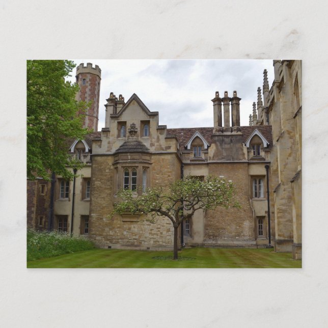Carte postale Cambridge de Newton's Apple Tree (Devant)