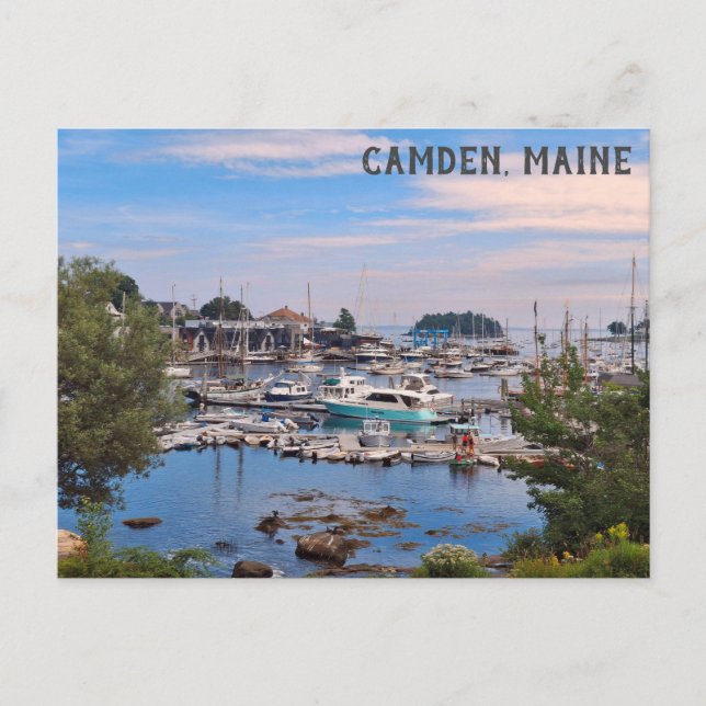 Carte Postale Camden Maine Harbour Water View Bateaux (Devant)