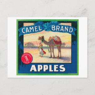 Carte Postale Camel Apple Étiquette - État de Washington