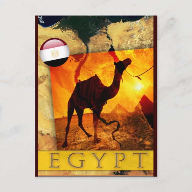 CARTE POSTALE CAMEL ÉGYPTIEN (Devant)