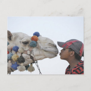 Carte Postale Camel et garçon