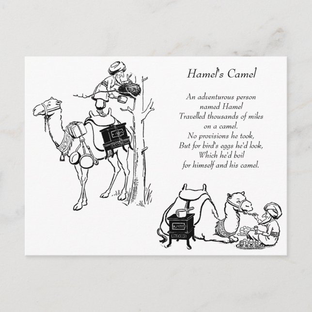 Carte Postale Camel Limerick de Hamel (Devant)
