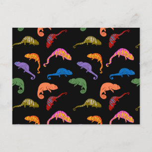 Carte Postale Caméléons Reptiles Colorés Lézards Enfants