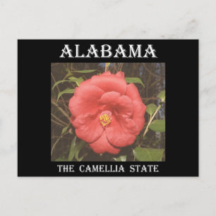 Carte Postale Camélia de l'Alabama (Rouge)