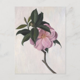 Carte Postale Camellia 1998