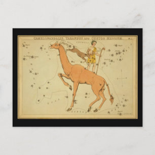 Carte Postale Camelopardalis, Tarandus et Custos Messie