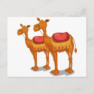 Carte Postale Camels