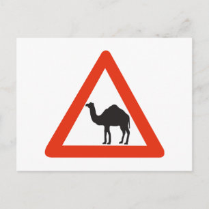 Carte Postale Camels de prudence, Signal de circulation, Émirat 