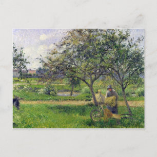 Carte Postale Camille Pissarro   La Brouette, verger, c.188