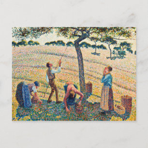 Carte Postale Camille Pissarro - Récolte de pomme