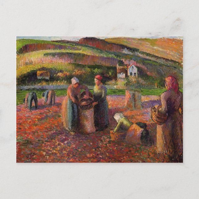 Carte Postale Camille Pissarro - Récolte de pommes de terre (Devant)