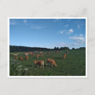 Carte Postale Camino Primitivo de Santiago (Espagne)
