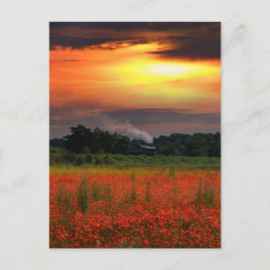 Carte Postale Camion À Vapeur Et Champ De Pavot Sunrise