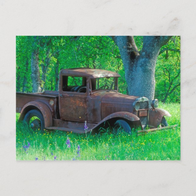 Carte Postale Camion antique rouillé dans un pré (Devant)