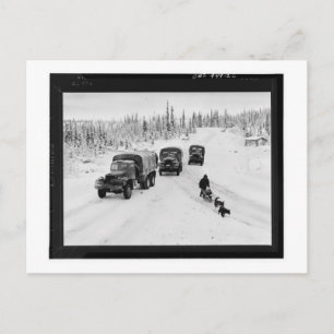Carte Postale Camions de l'Alaska et traîneau à chiens
