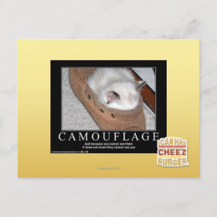 Carte Postale Camouflage