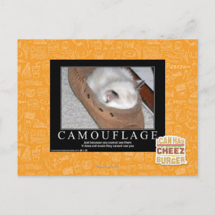 Carte Postale Camouflage