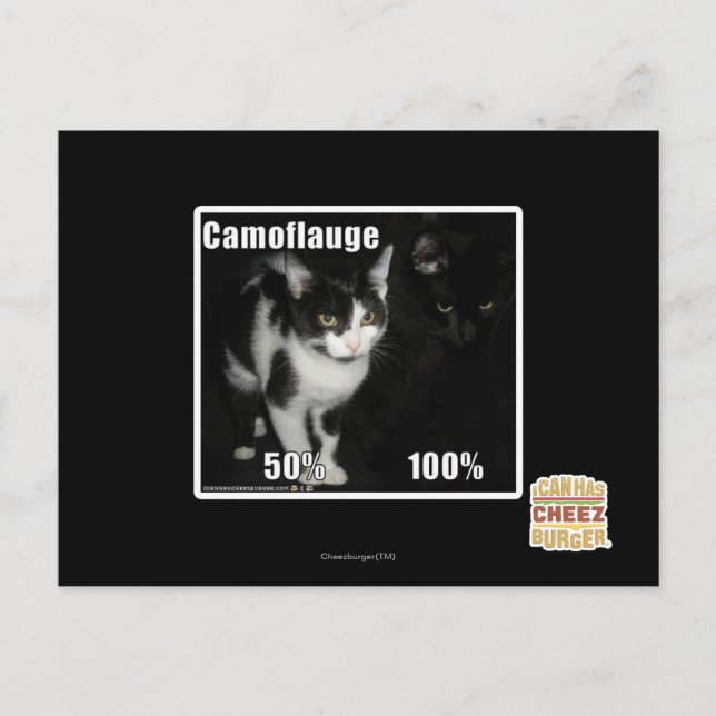 Carte Postale Camouflage (Devant)
