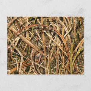 Carte Postale Camouflage par john