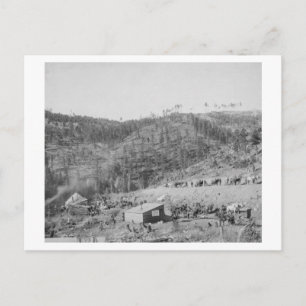 Carte Postale Camp de chemin de fer Wade et Jones à Whitewood Ca