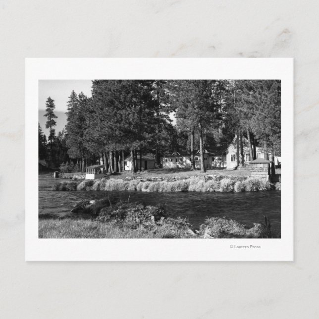 Carte Postale Camp Sherman, Oregon vue des Cabines de Rogers (Devant)