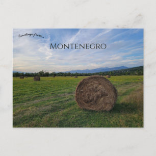 Carte Postale Campagne à Podgorica Montenegro