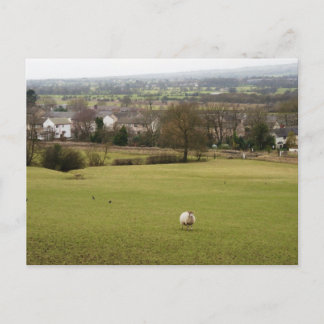 Carte Postale Campagne anglaise