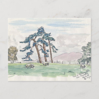 Carte postale Campagne Anglaise