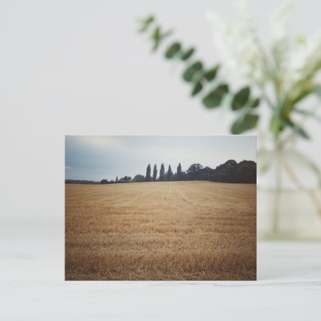 Carte Postale Campagne d'Angleterre (Debout devant)