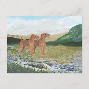 Carte Postale Campagne de Connemara