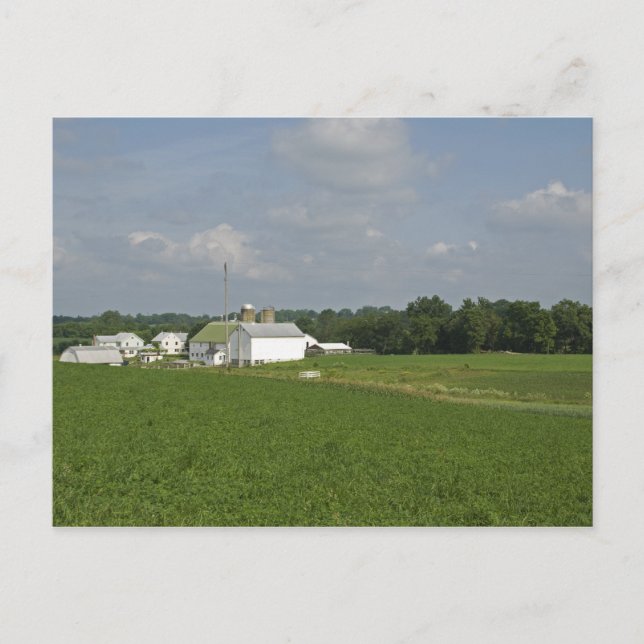 Carte Postale Campagne de Pennsylvanie (Devant)