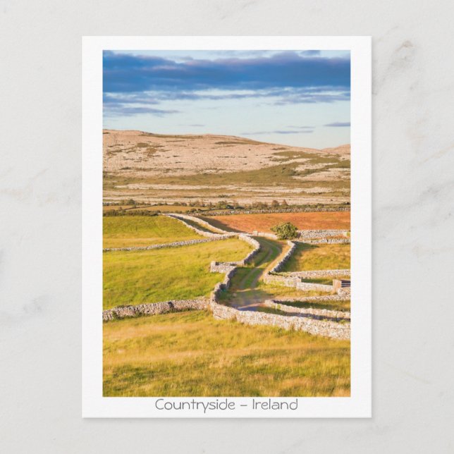Carte Postale Campagne irlandaise (Devant)