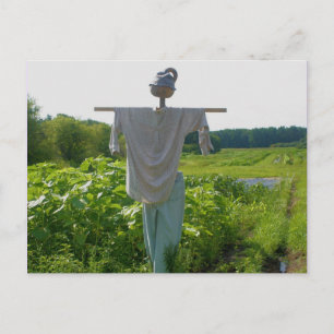 Carte Postale Campagne Jardin Scarecrow Nature