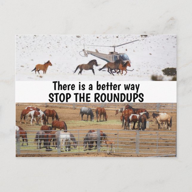 Carte Postale Campagne Sauvez nos chevaux sauvages (Devant)